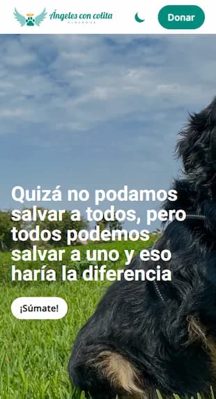 Gredich - Desarrollo y Diseño de Páginas Web en Perú